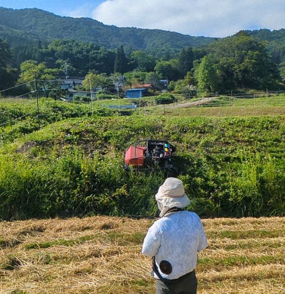 40度ほどの急傾斜でもラジコン式草刈機を使えば安全に作業できる