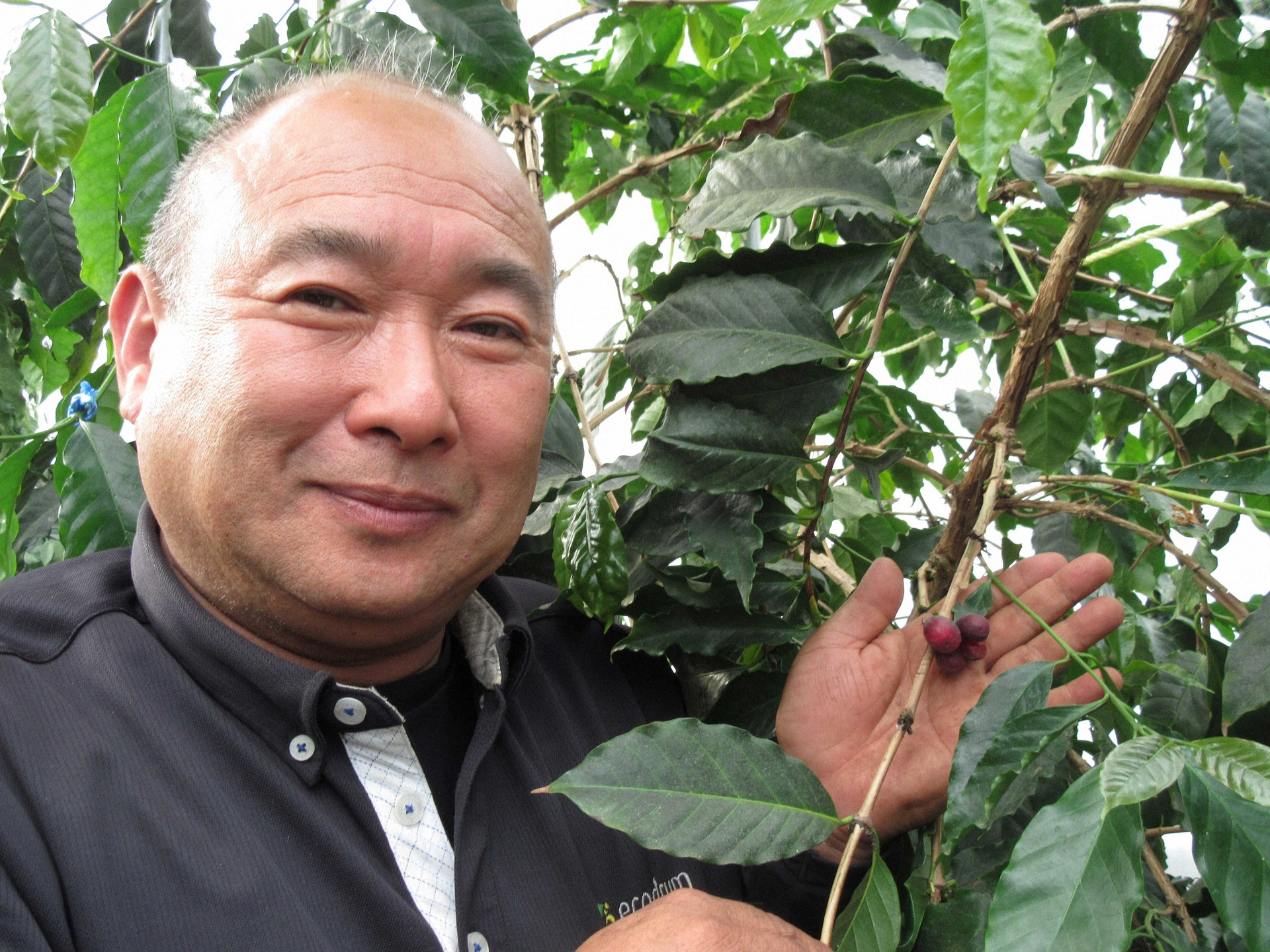 収穫前のコーヒー豆と東さん