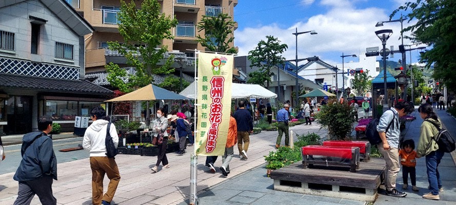昨年の「善光寺花回廊」