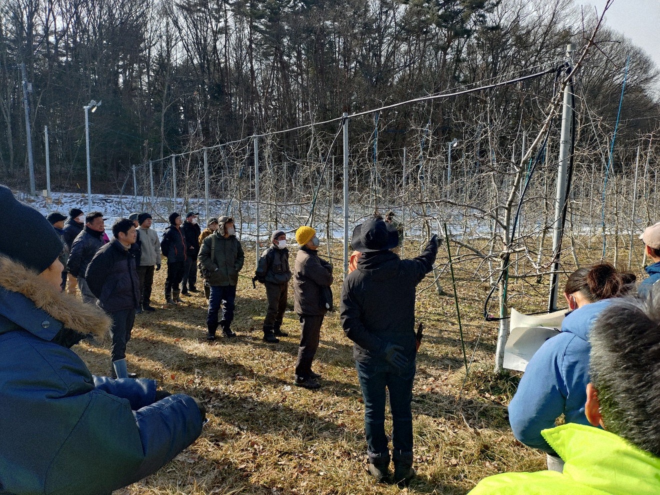 果樹園で実技実習を受ける受講者たち
