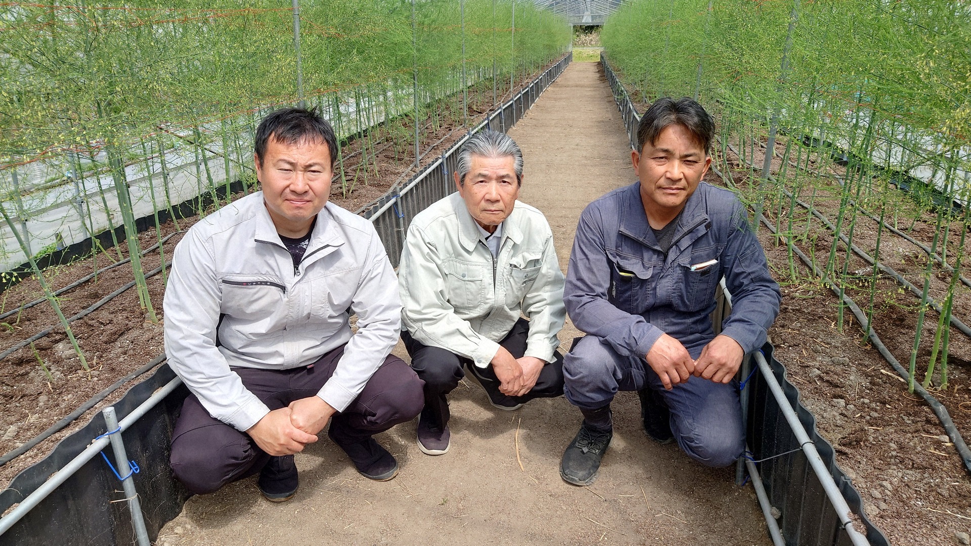 「すい~とアスパラ」の圃場で左から後藤副代表、柏尾代表、二神理事