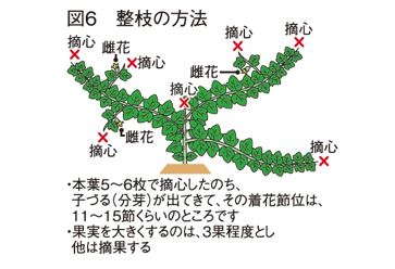 図6