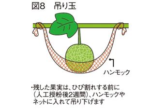図8