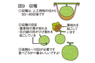 図9