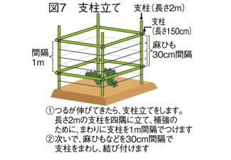 図7