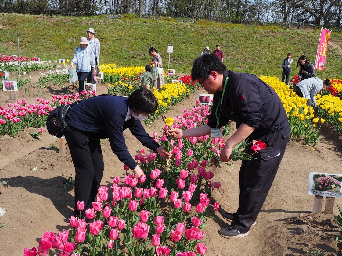 掘り取りコーナーで来場者にポイントを説明するJA北新潟の遠山さん(右)