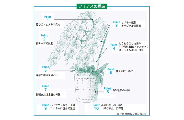 フォアスの構造