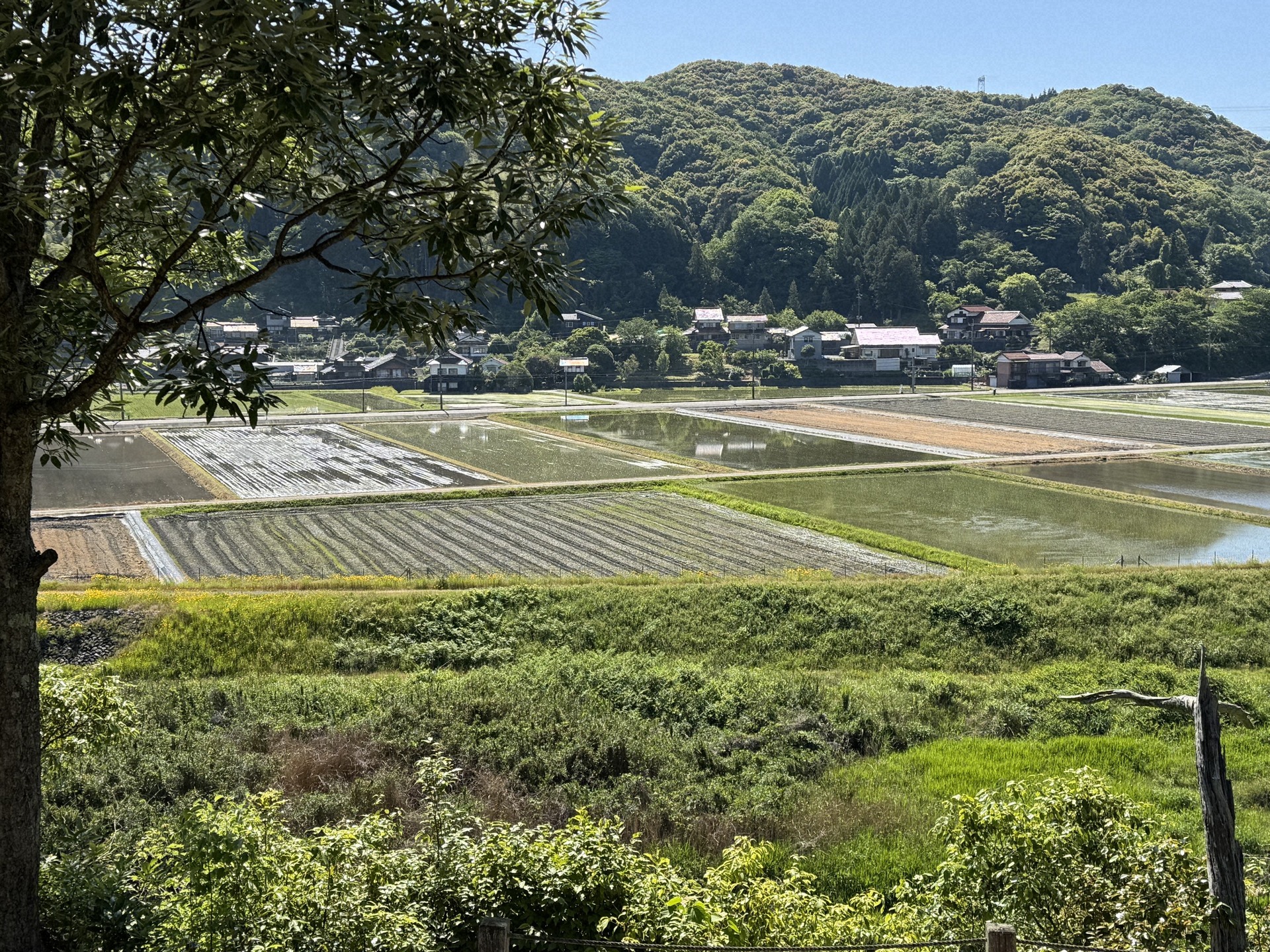 対岸に広がる美しい田園風景