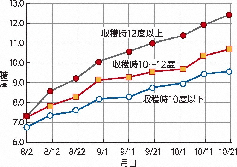 シートマルチ栽培「長崎果研原口1号」の果実糖度の推移