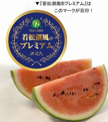 若松潮風プレミアム