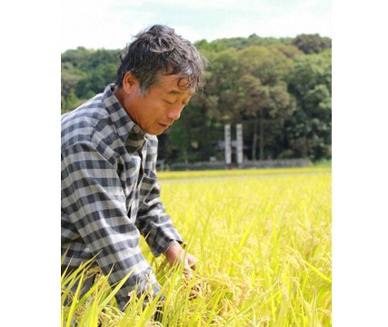 11年、直播田で稲穂を見る(撮影=佐藤弘)