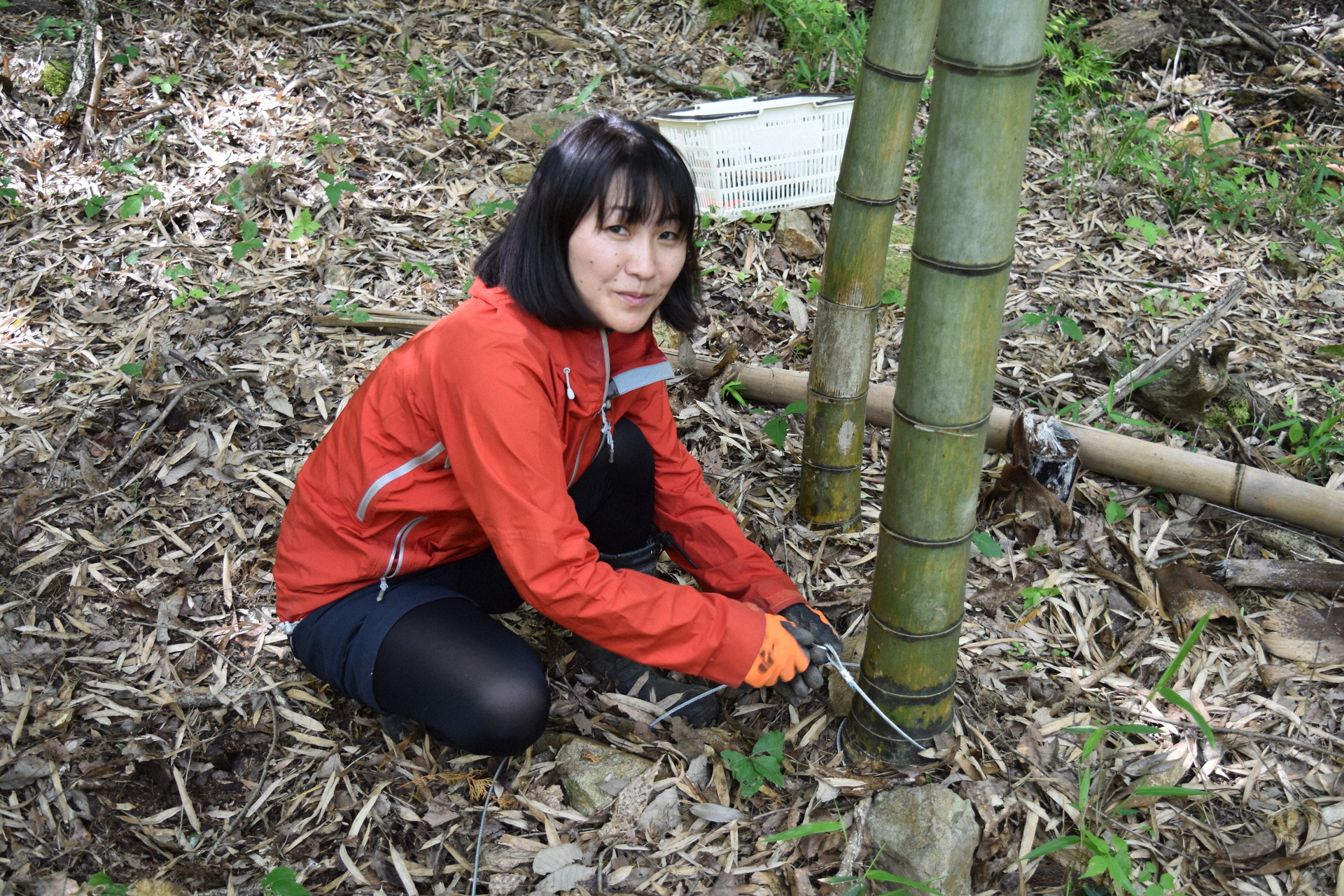 わなを仕掛ける山本さん