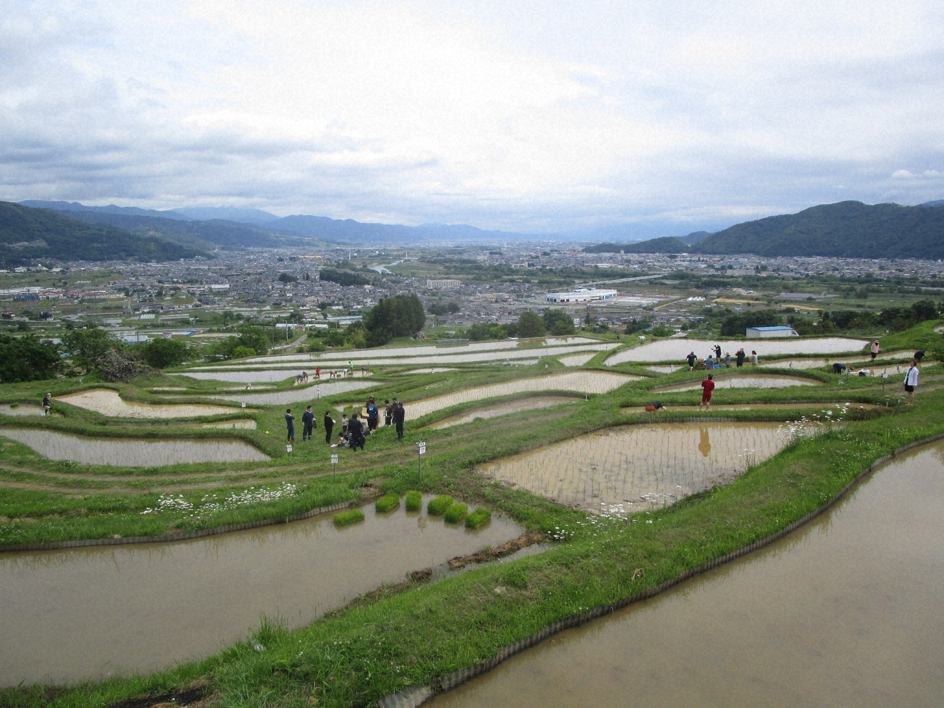 日本の原風景を思わせる田植え後の棚田