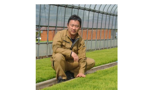 ハウスの中で田植え直前の苗の育ち具合を見る池田さん