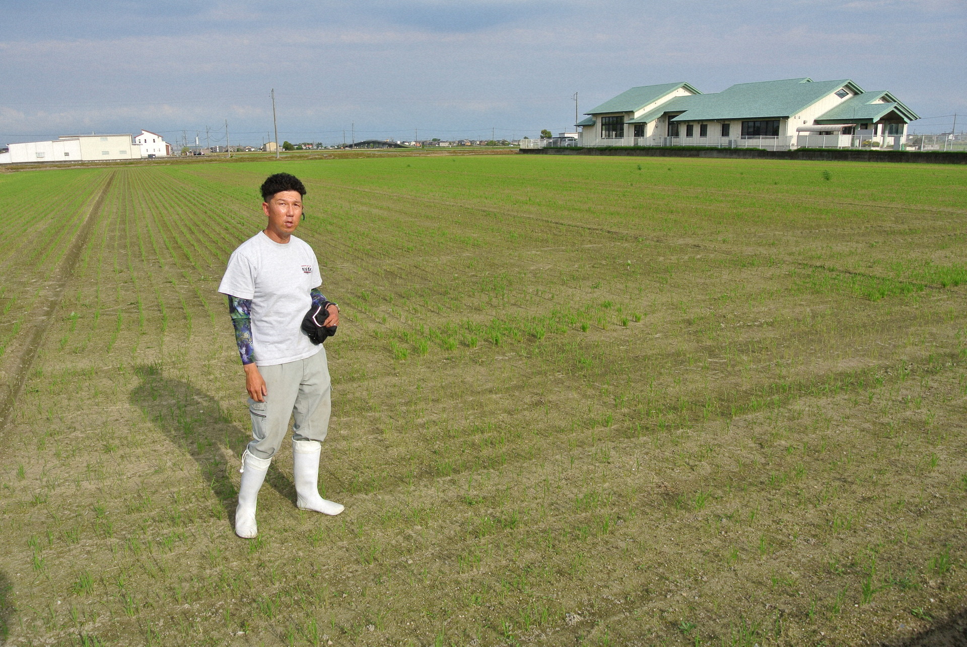 畦を抜いて大区画にした乾田直播用の圃場