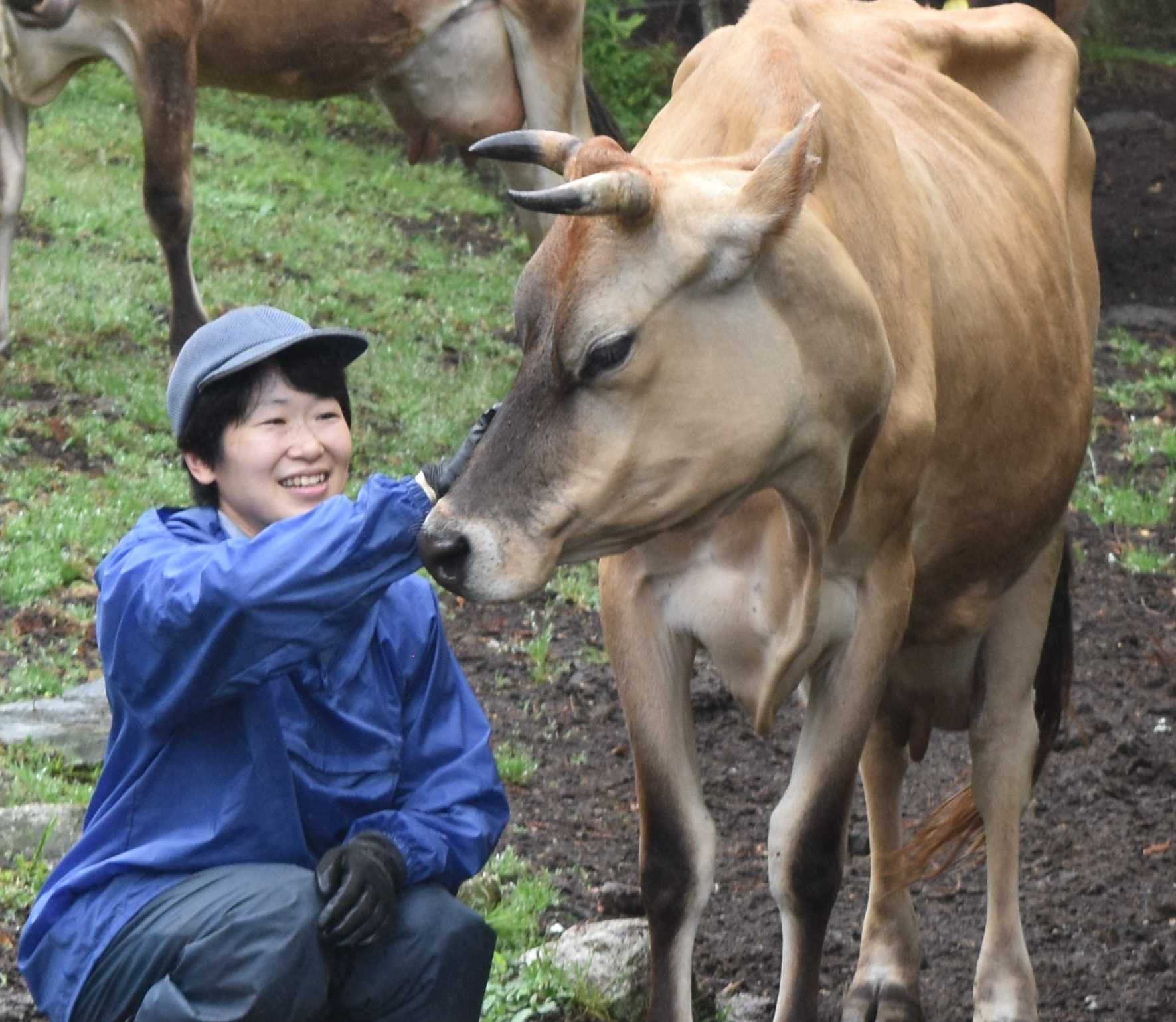 牛たちから強い信頼を寄せられる薫さん(写真の一部は薫さん提供)