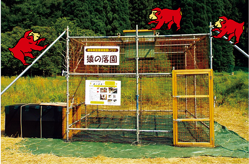 写真5:サル捕獲用囲いわな「猿の落園」(材料費20万円ほど)。3.6㍍四方、高さ2.7㍍。サルの出没場所に設置。足場パイプとワイヤーメッシュなどを結束バンドで組み立てる