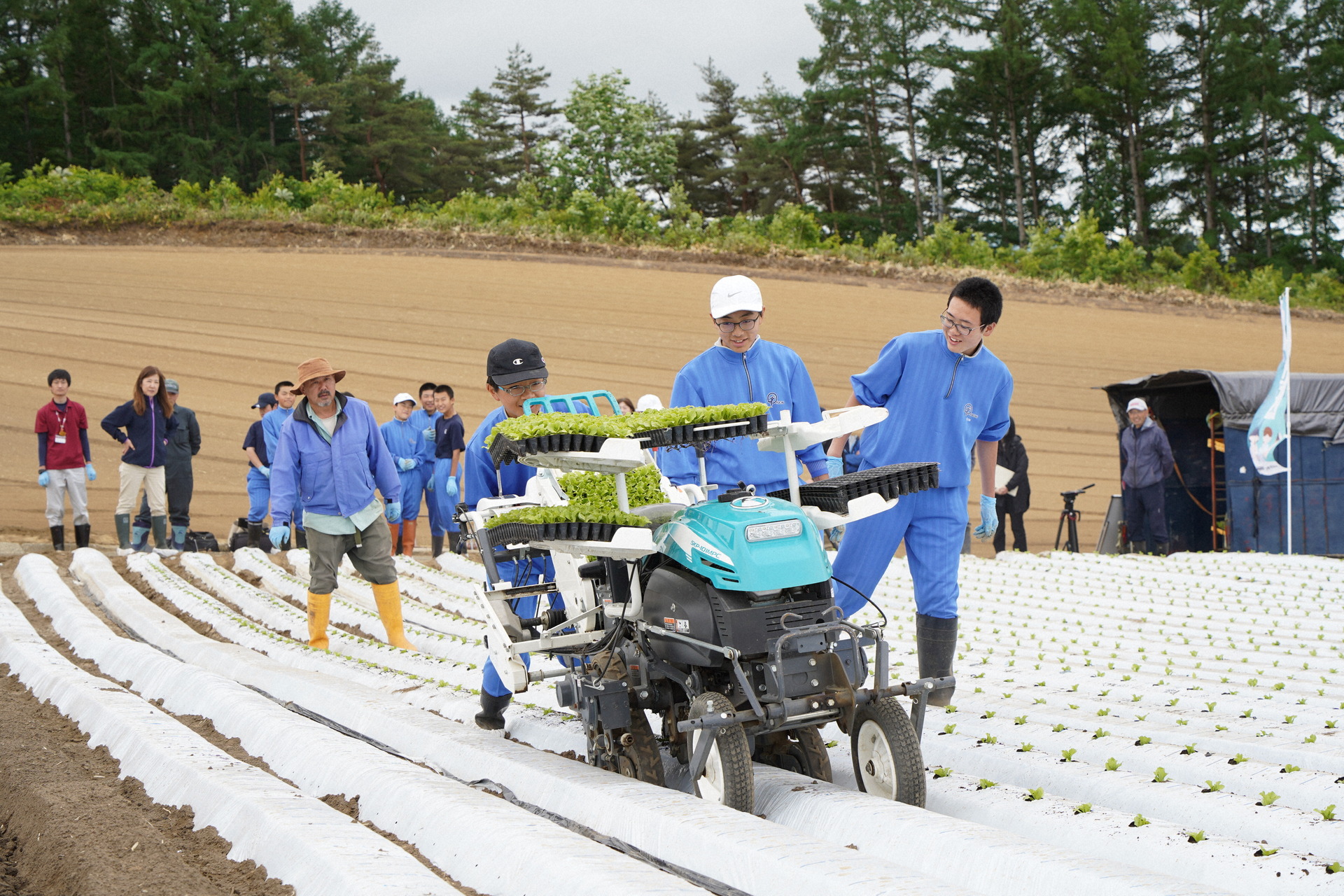 移植機の扱いに奮闘する生徒