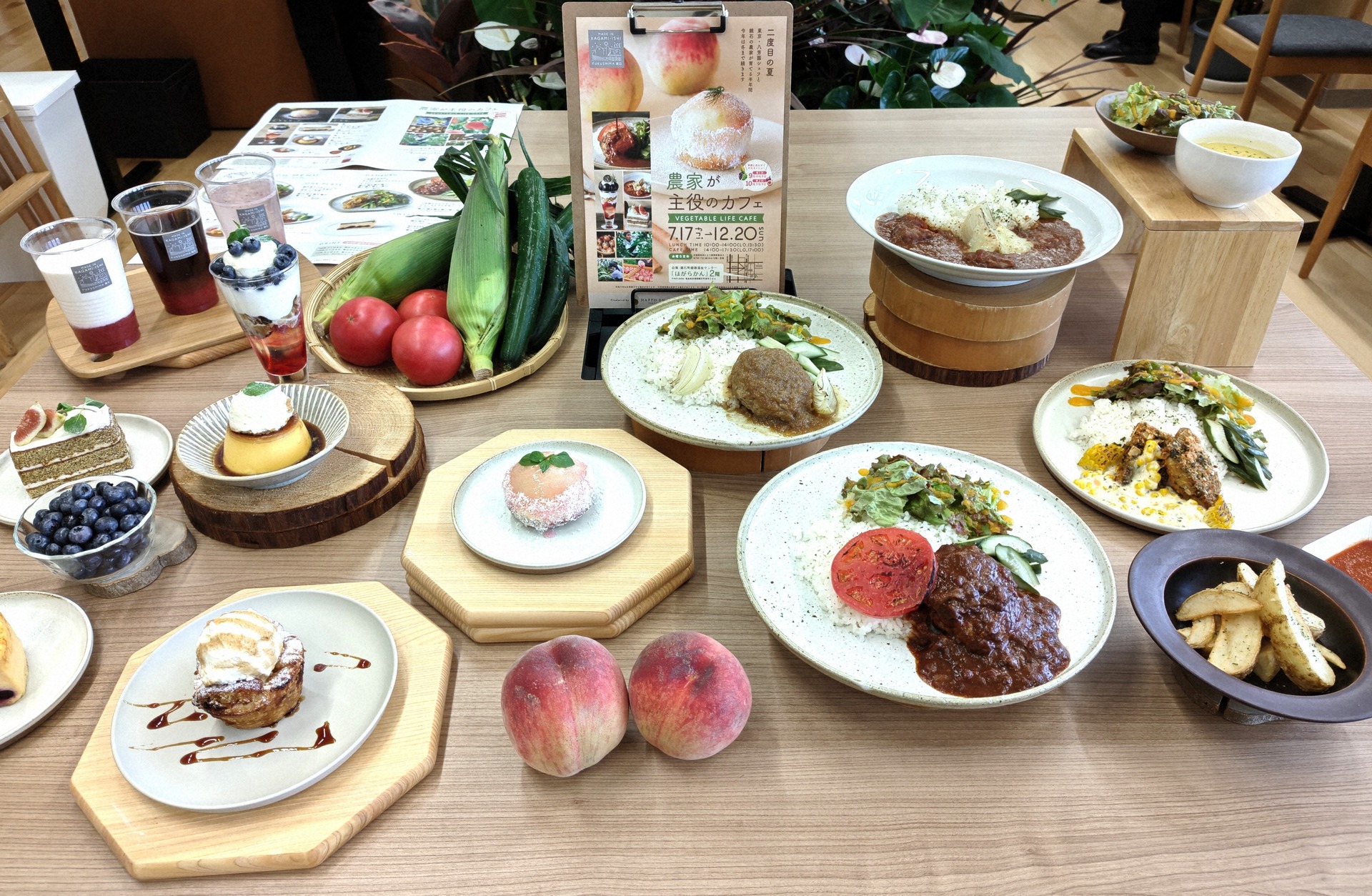 提供されるメニューの一例