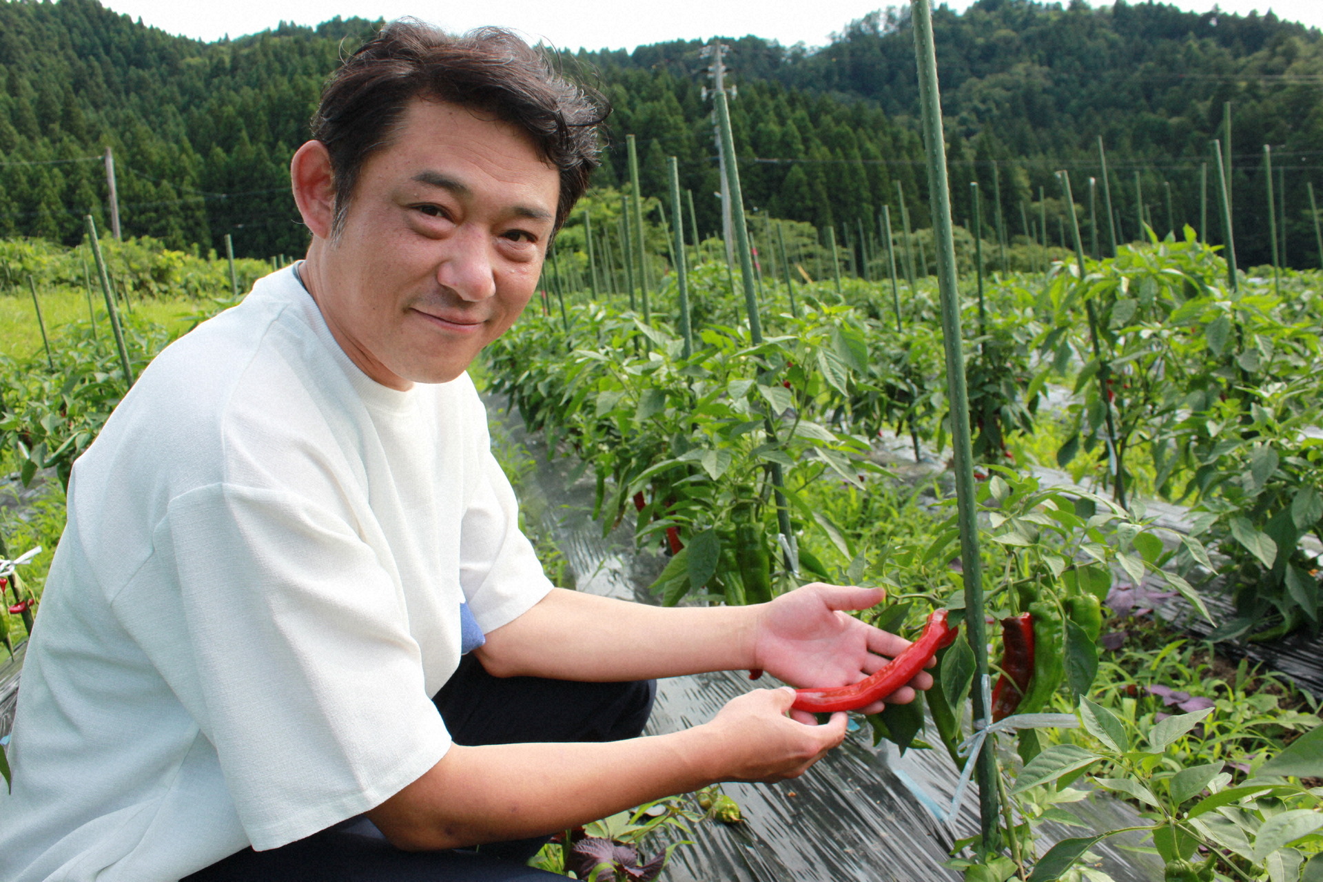立派に育った赤なんばを手にする関社長