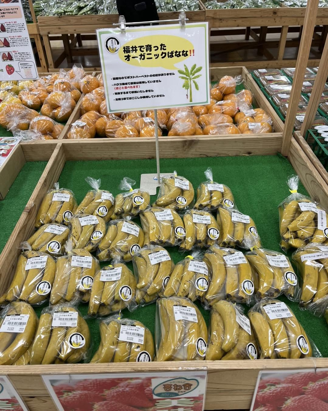 直売所に並ぶ「越前ばなな」