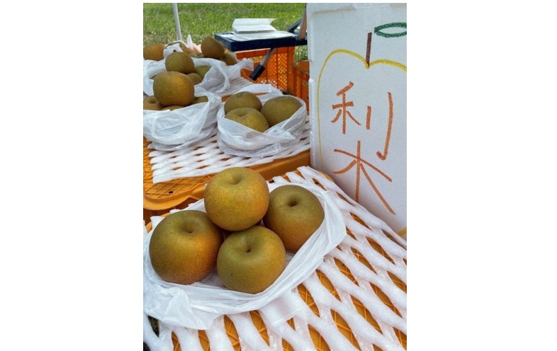 直売所で販売されているナシ