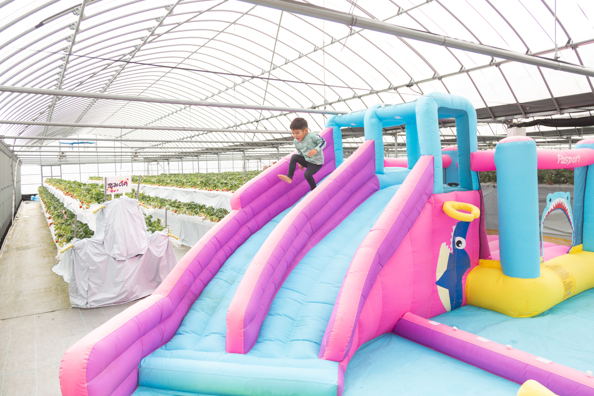 夏はプール、冬は滑り台になる遊具