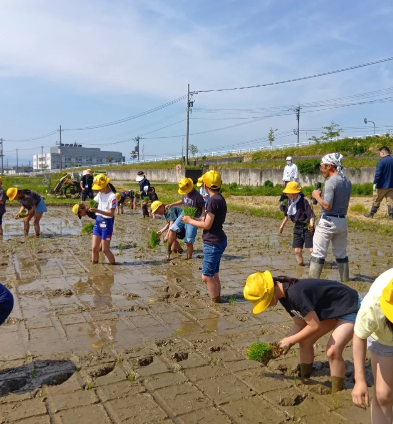 今年も5月に田植え教室を開催