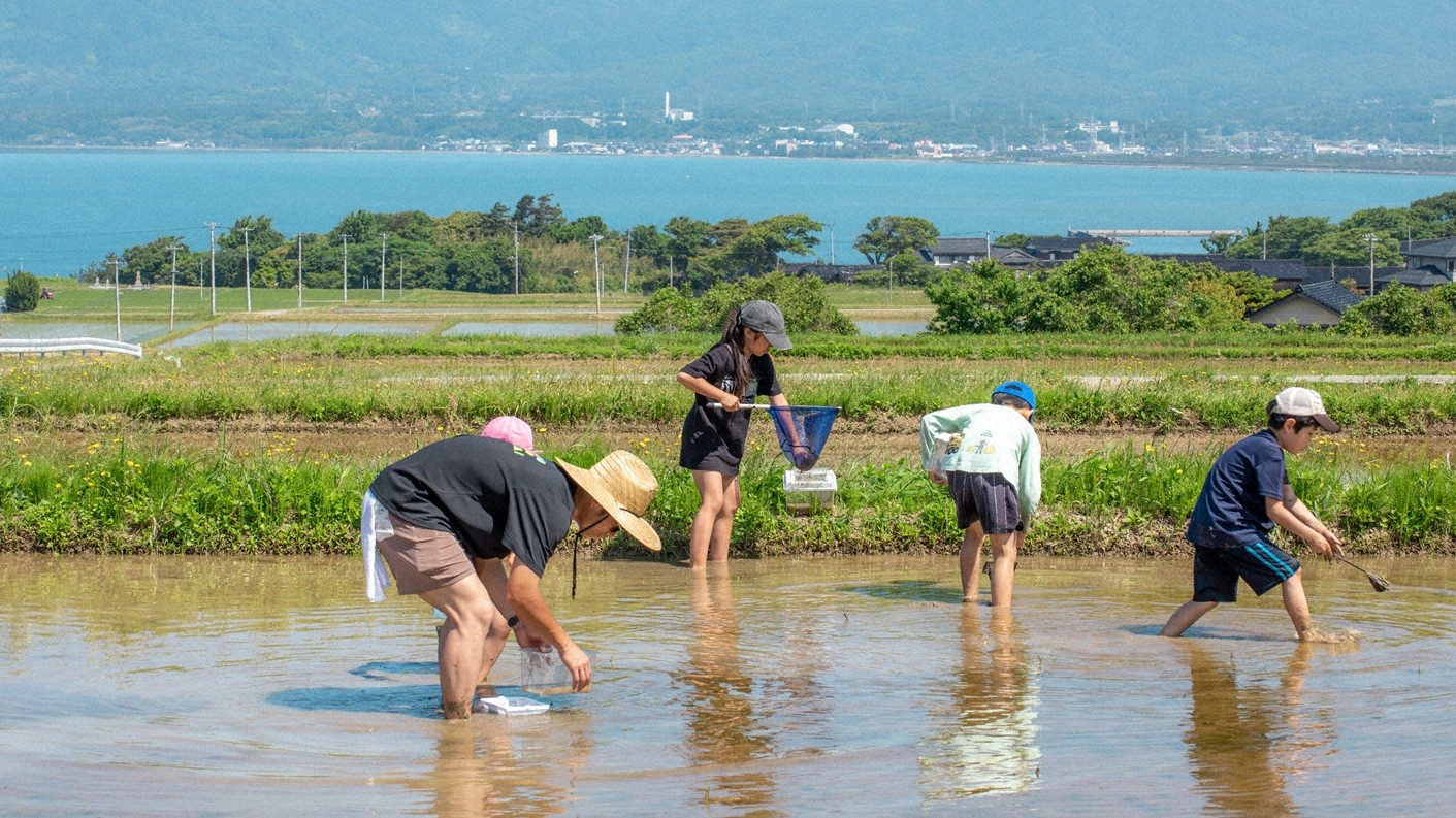 田植えなど、子どもたちの農業体験にも力を注ぐ