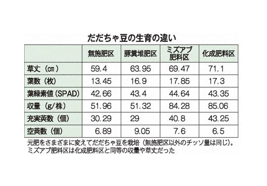 だだちゃ豆の生育の違い