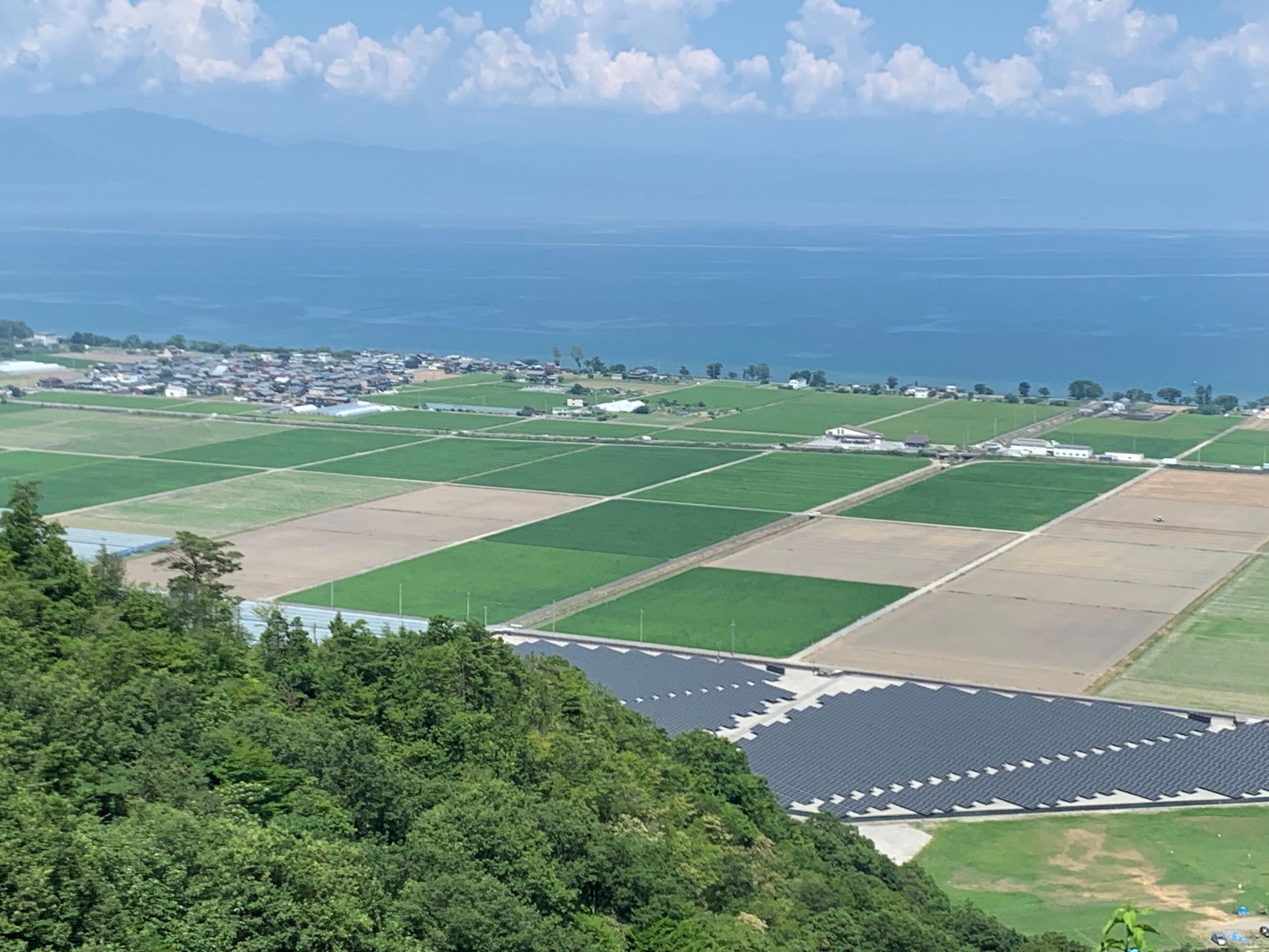 琵琶湖のほとりに広がる同法人の田畑