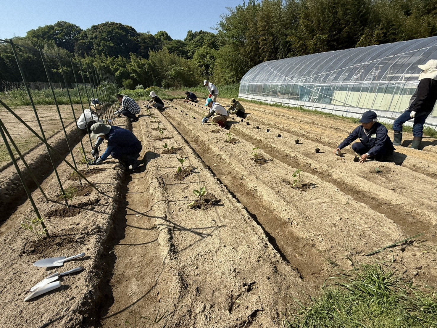 圃場での栽培実習。１７種類の露地野菜を植え付けて収穫まで学ぶ