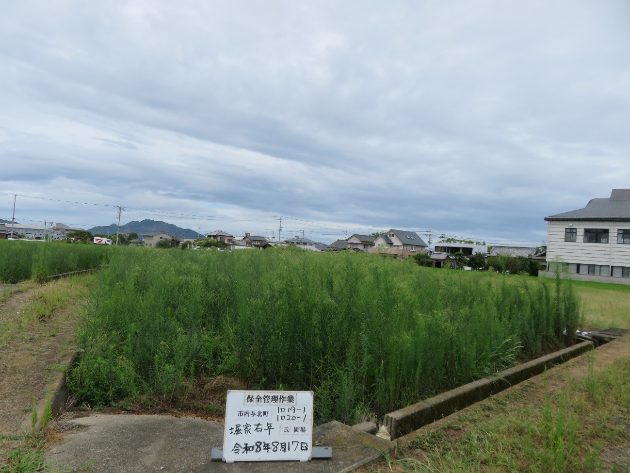 公社が取り組んだ保全管理作業(作業前)