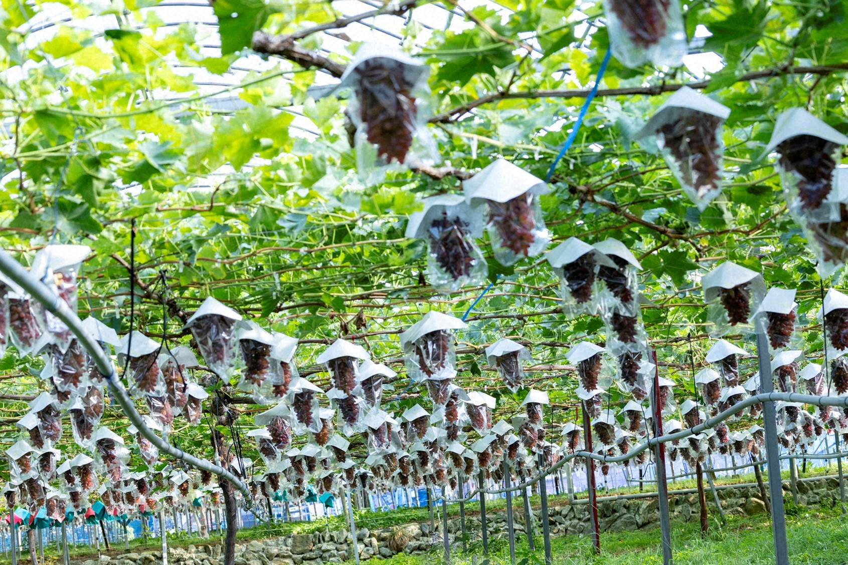 水平が取れているものと比べ、斜めになると景色の良さが半減