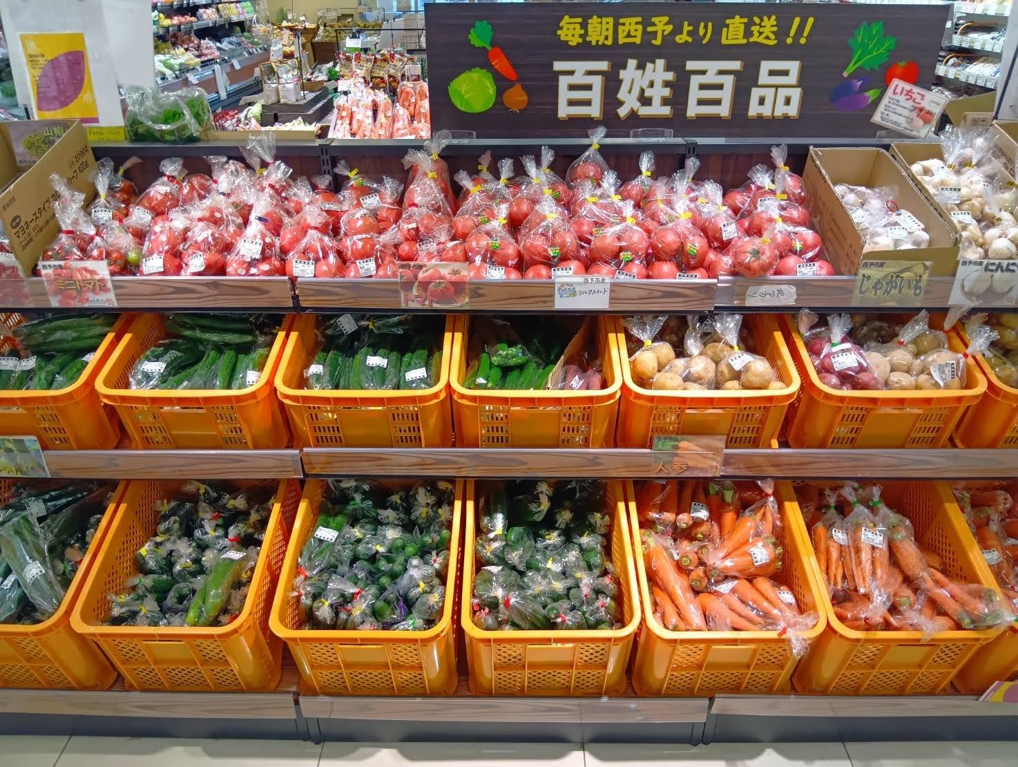 陳列された野村町産の野菜(生協コープえひめ束本店で)
