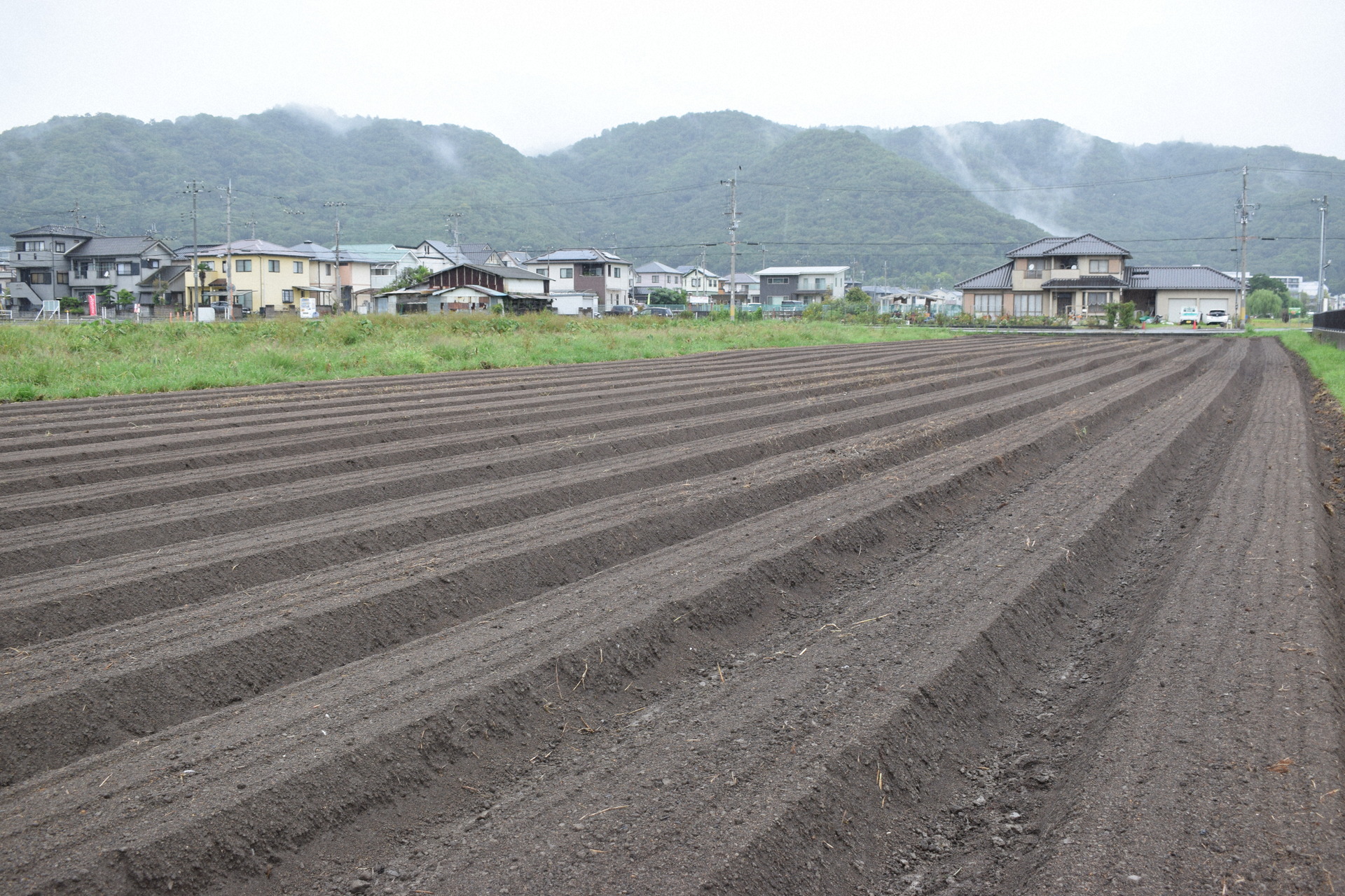 1年前まで耕作放棄地だった同農園の圃場
