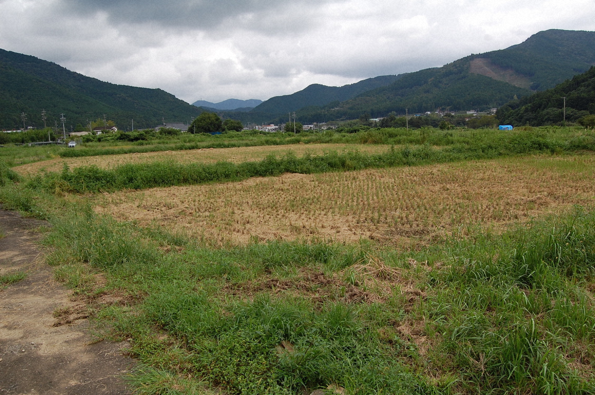 耕作放棄地再生事業支援金を活用して水田に再生された農地。毎年稲作が行われている