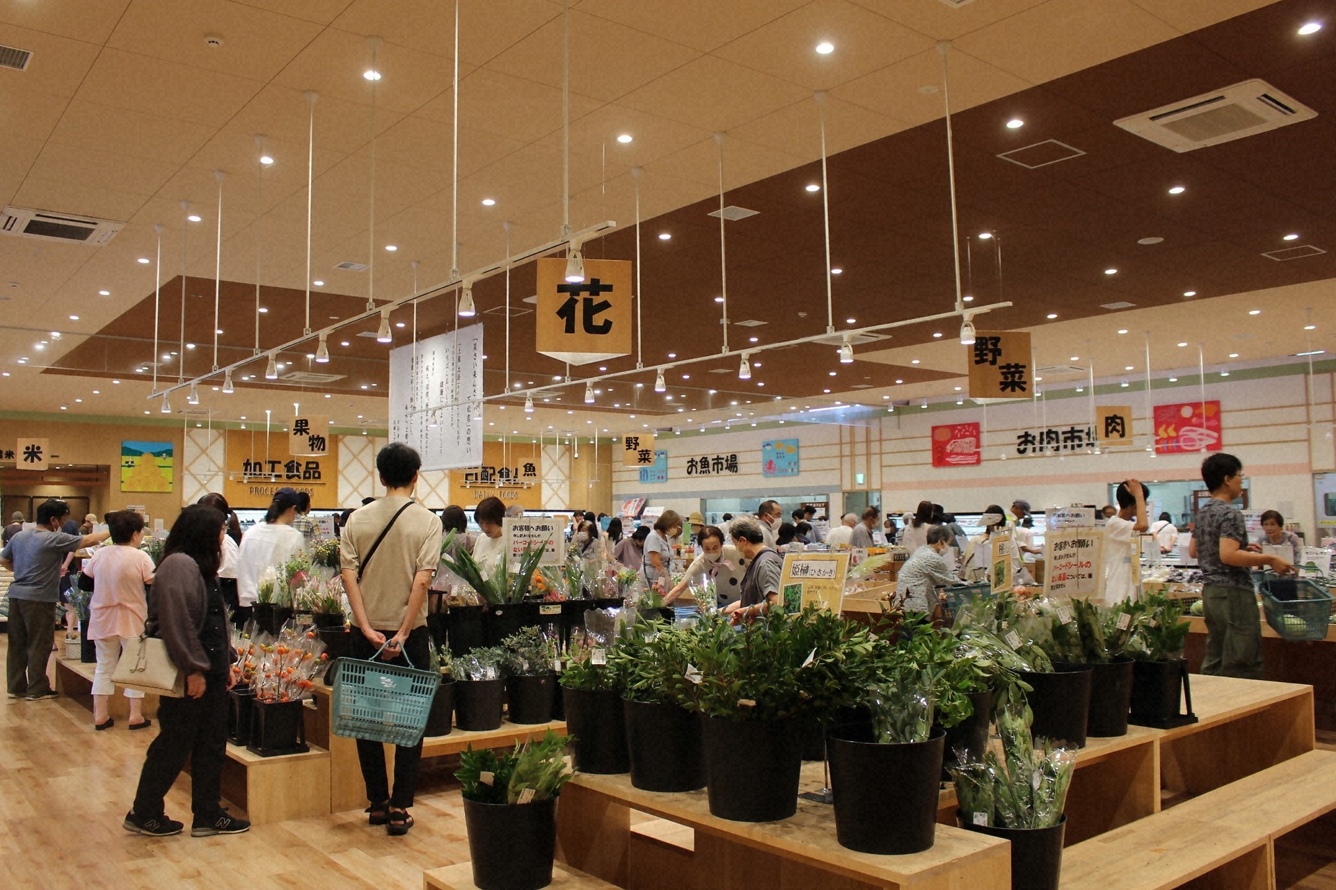 来店客でにぎわう感謝祭