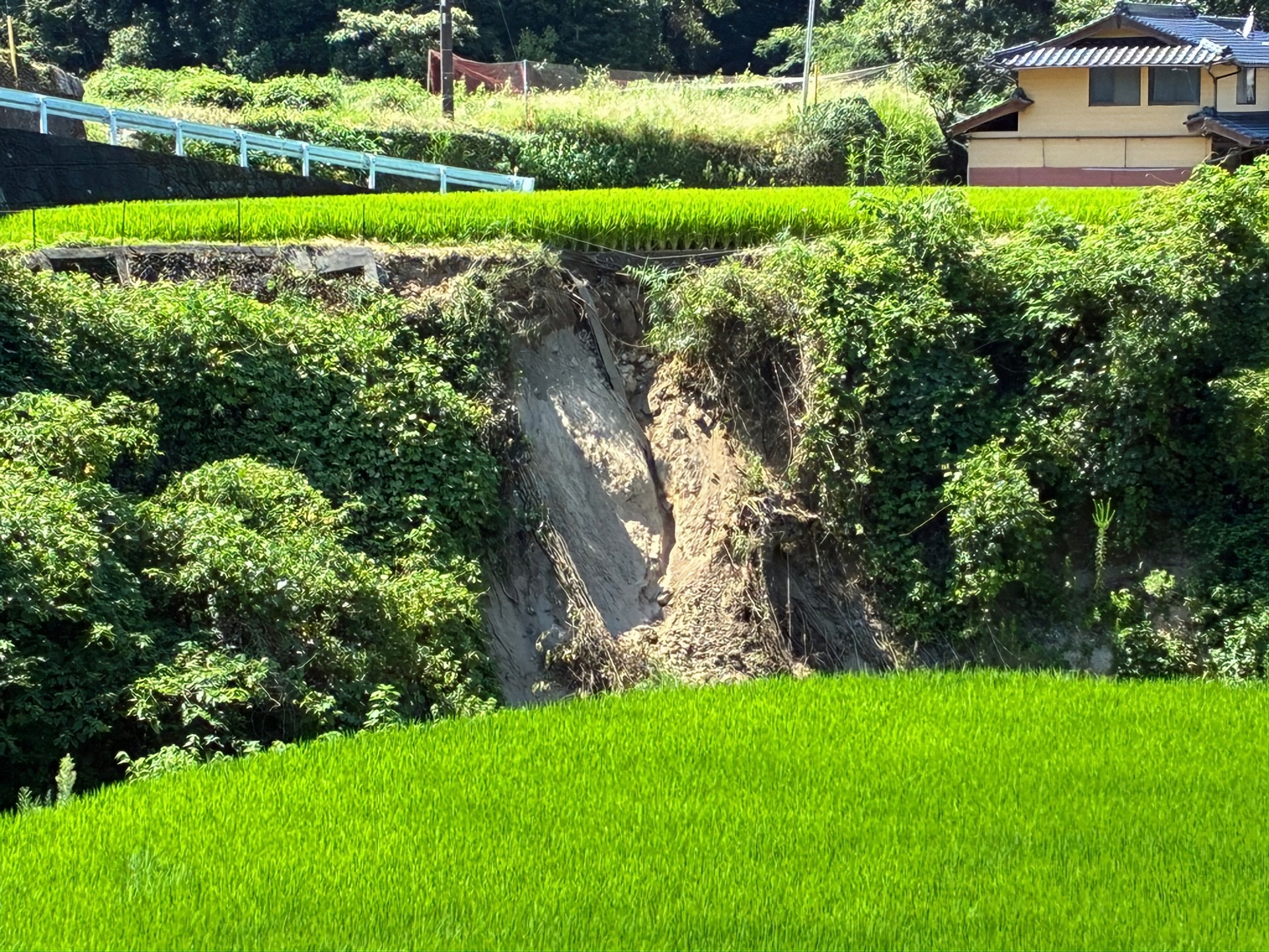白石野集落で被災した農地の法面。下には水路がある