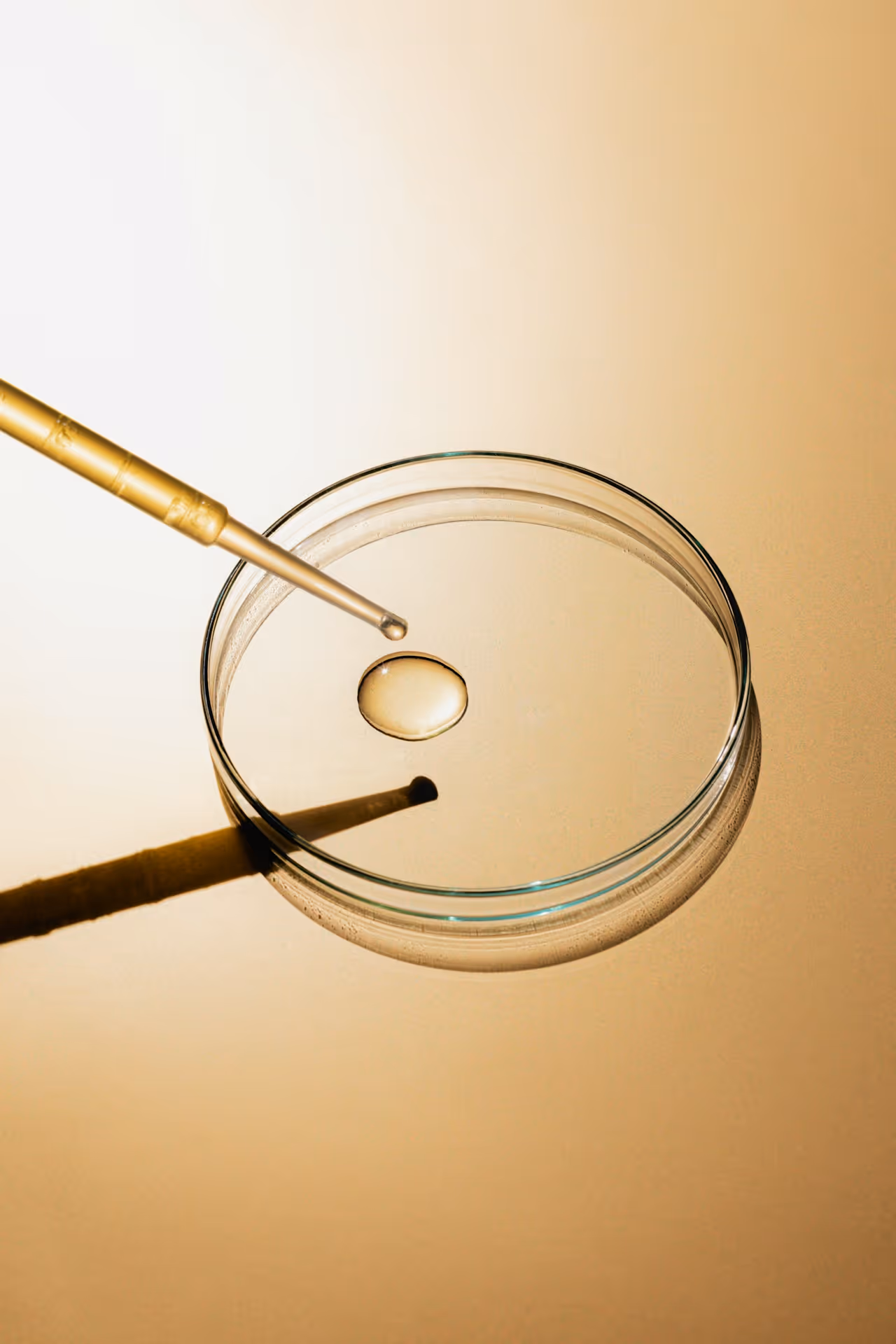 Pipette gibt einen Tropfen in eine Petrischale – Symbol für präzise Labordiagnostik