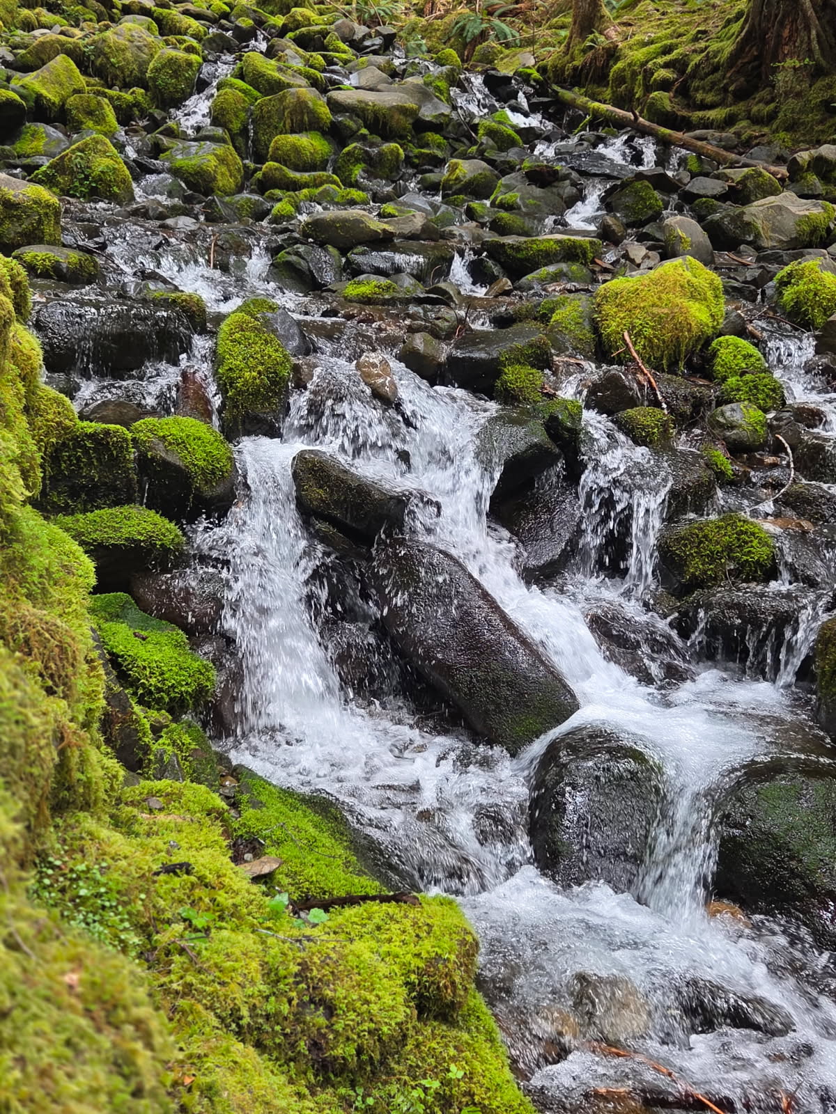 image of welcoming lobby 1