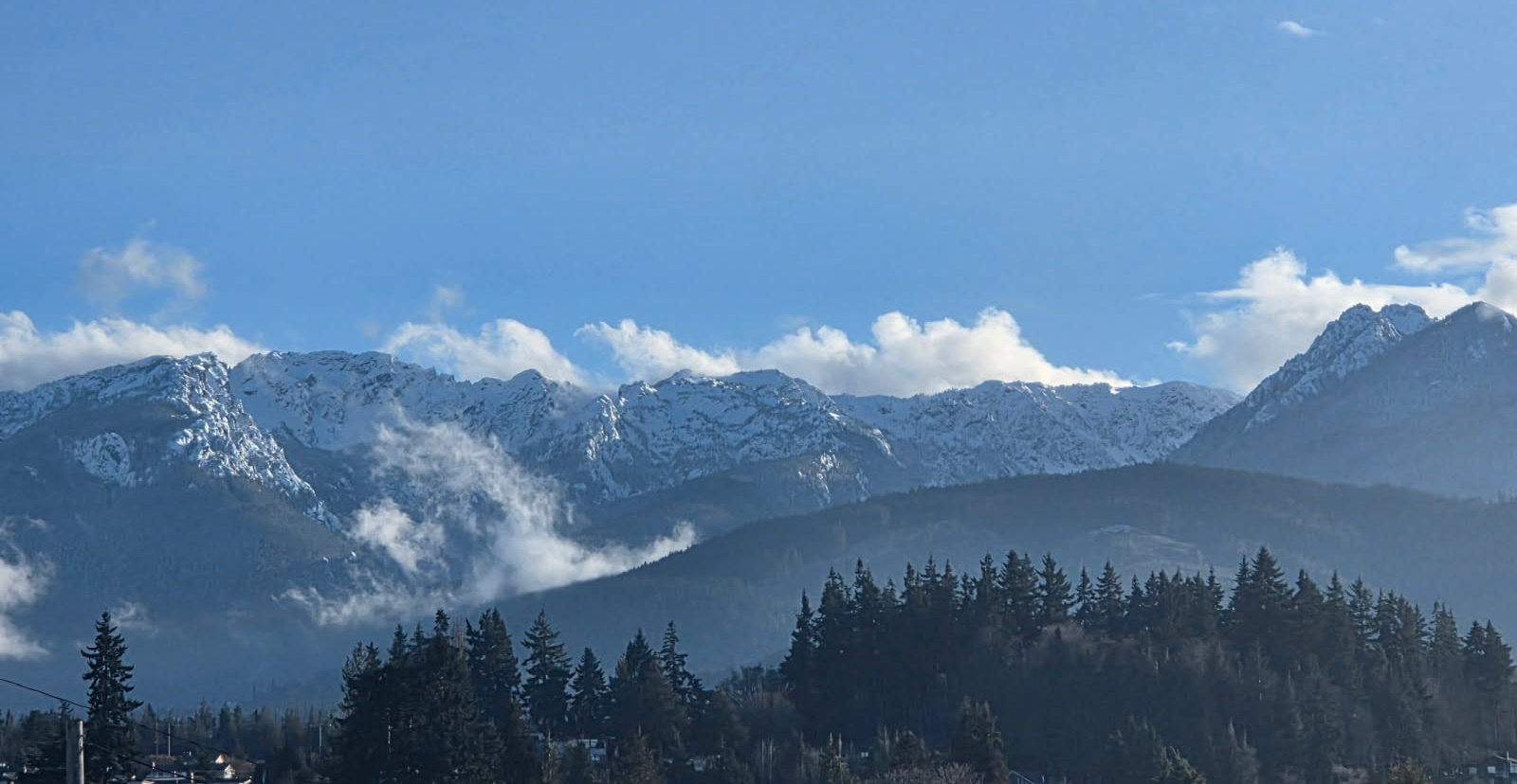 image of volunteers with animals
