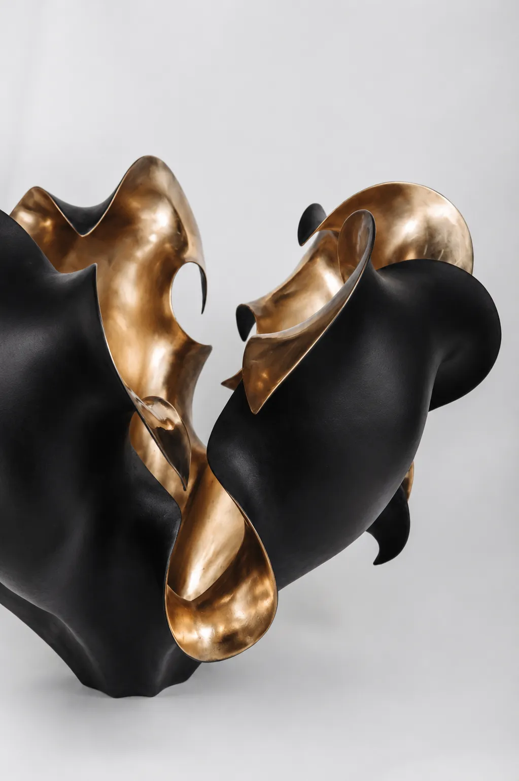 Petalum V Large, angled view showing intertwined black and polished bronze forms.