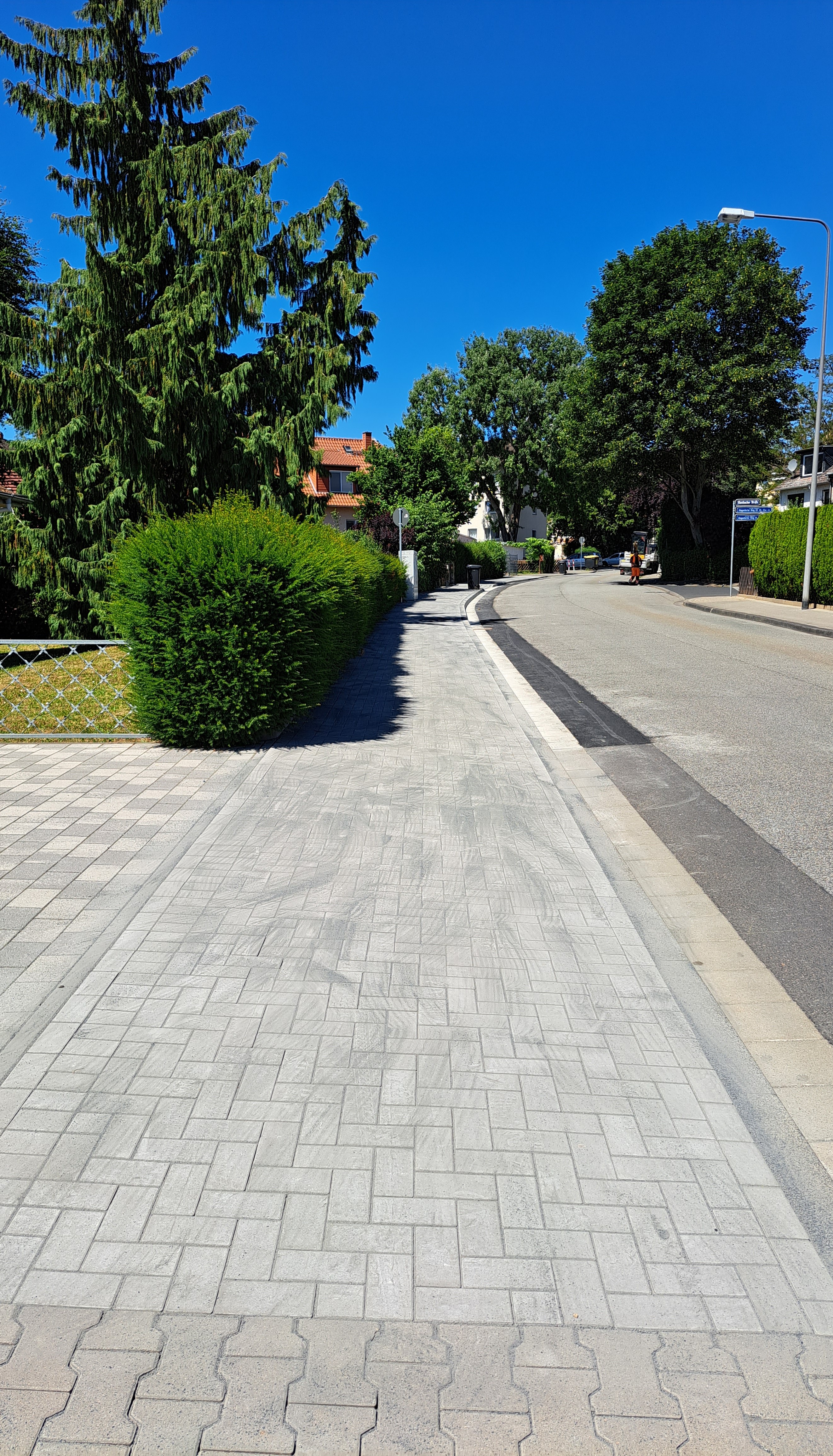 Sunny neighborhood street with paved sidewalks, lush green trees, and residential houses.