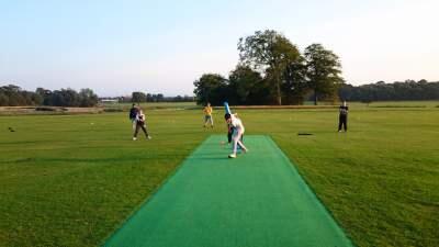 Four people playing cricket on a green field with a synthetic pitch, trees and clear sky in the background.