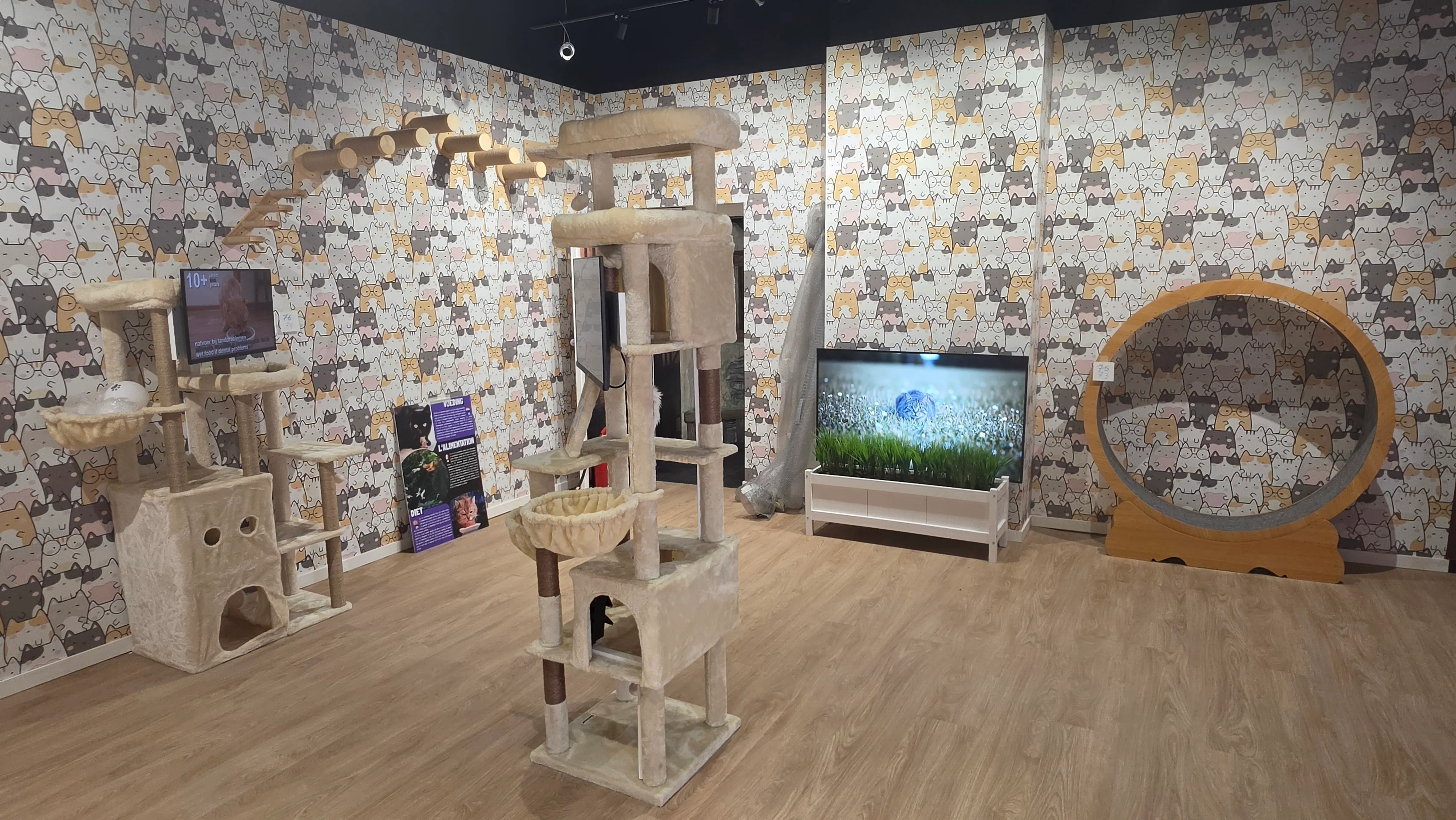 Salle au papier peint de chats avec arbres à chat, roue d'exercice et écran, consacrée au jeu et au bien-être félin