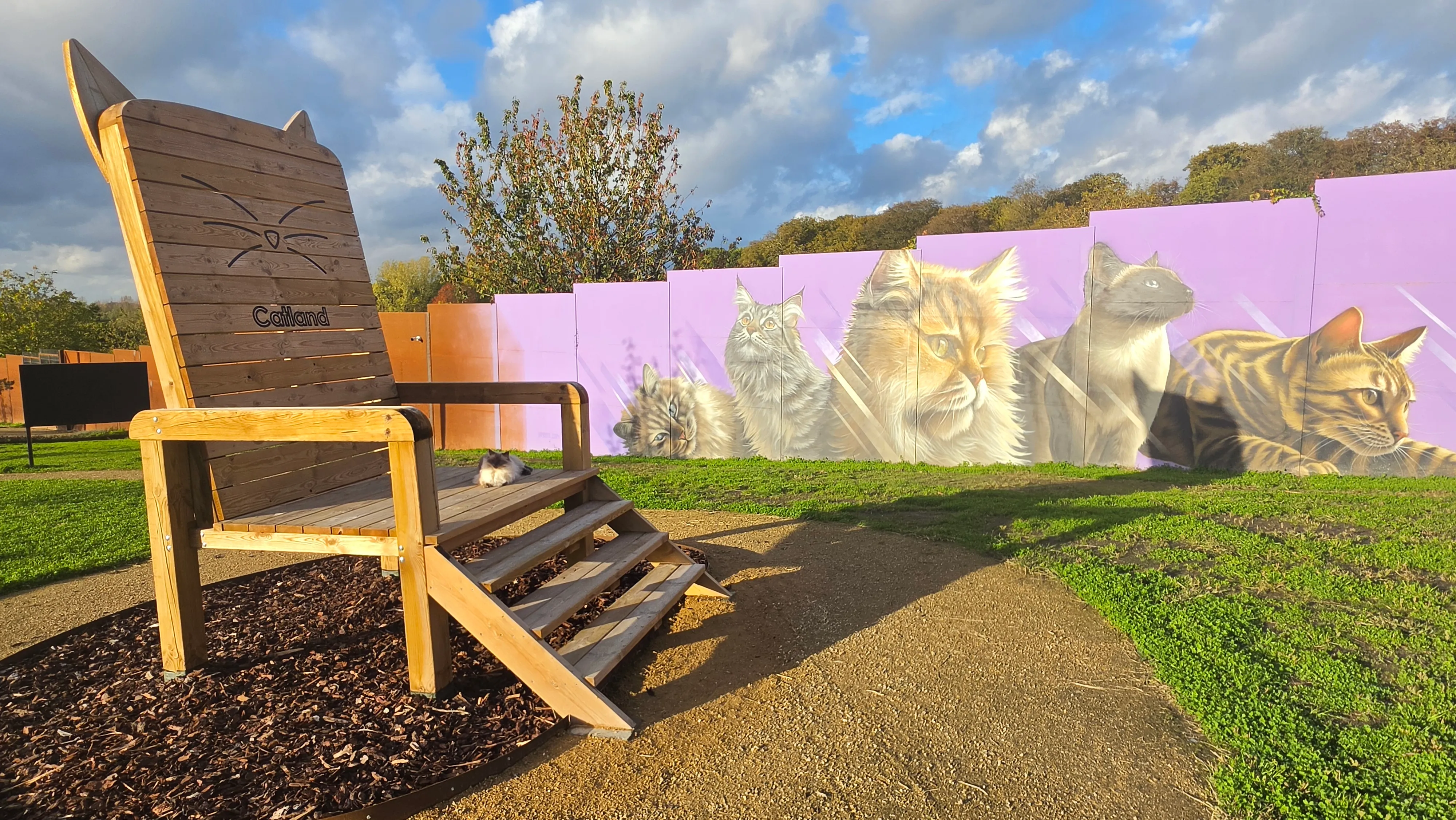 Fauteuil géant Catland en bois et fresque murale de chats peinte sur la palissade mauve du parc