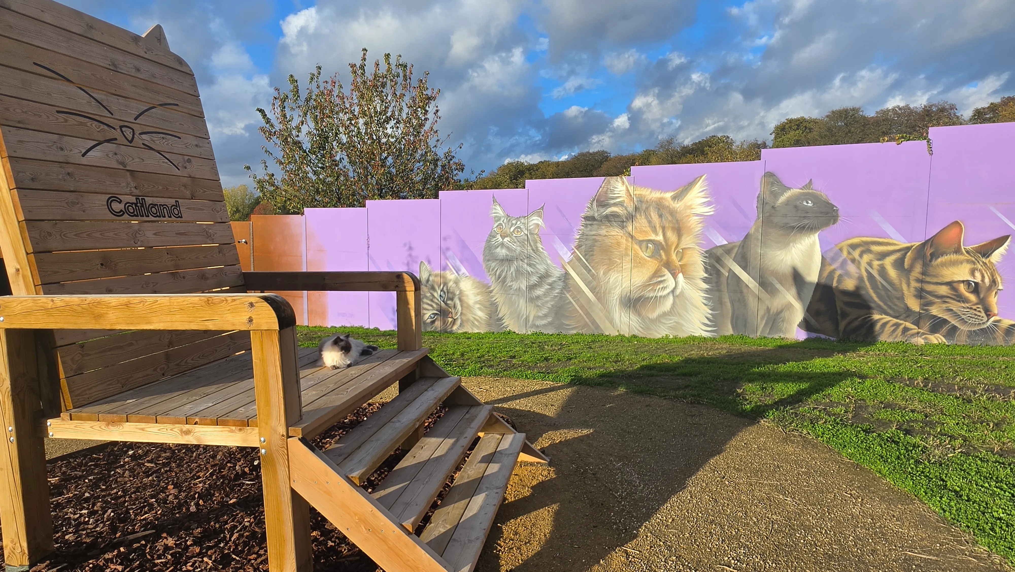 Fauteuil géant en bois aux oreilles de chat dans le parc, un chat assis dessus, devant une fresque murale de chats
