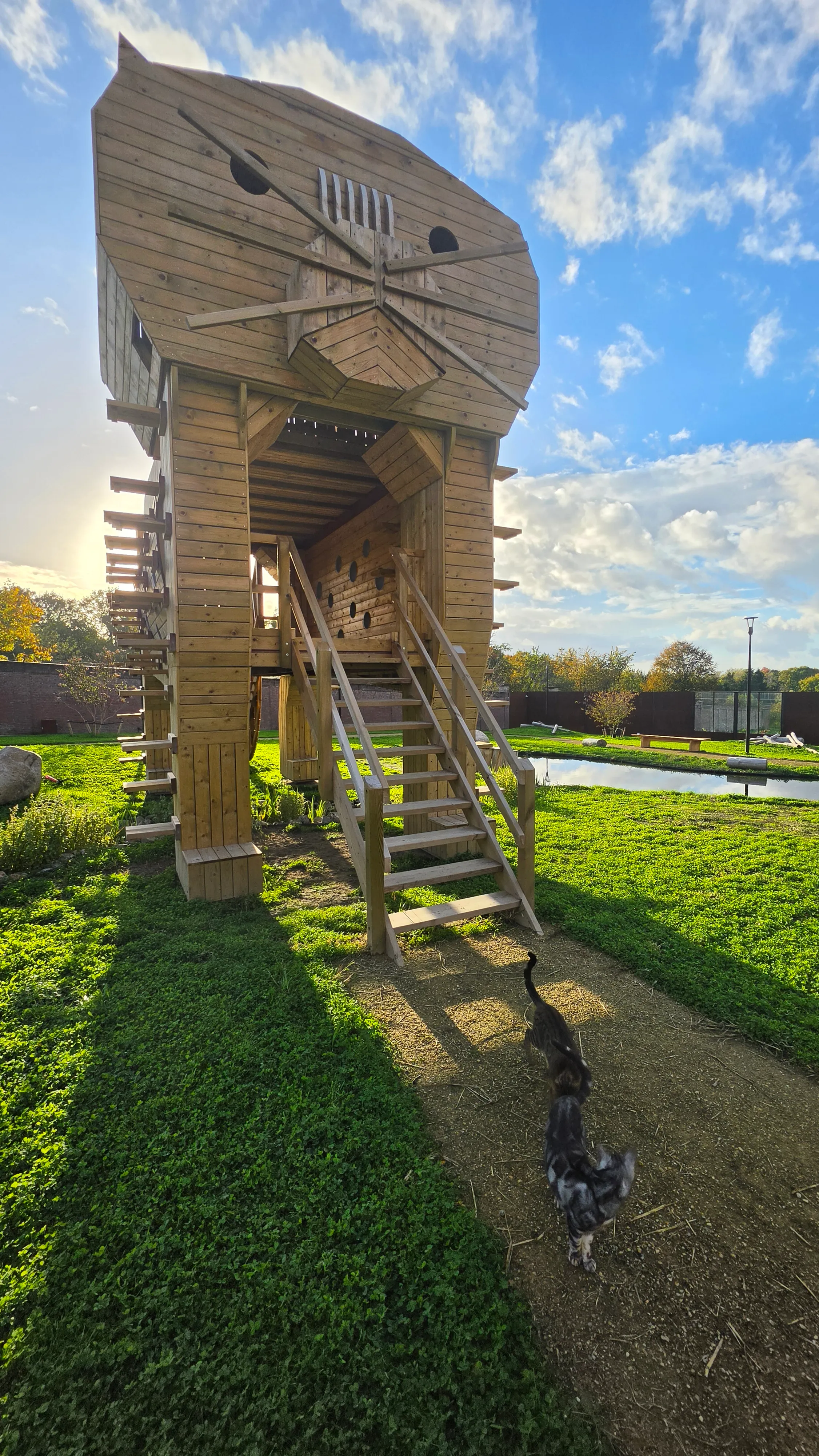Tour en bois à tête de chat dans le parc, deux chats sur le chemin au premier plan