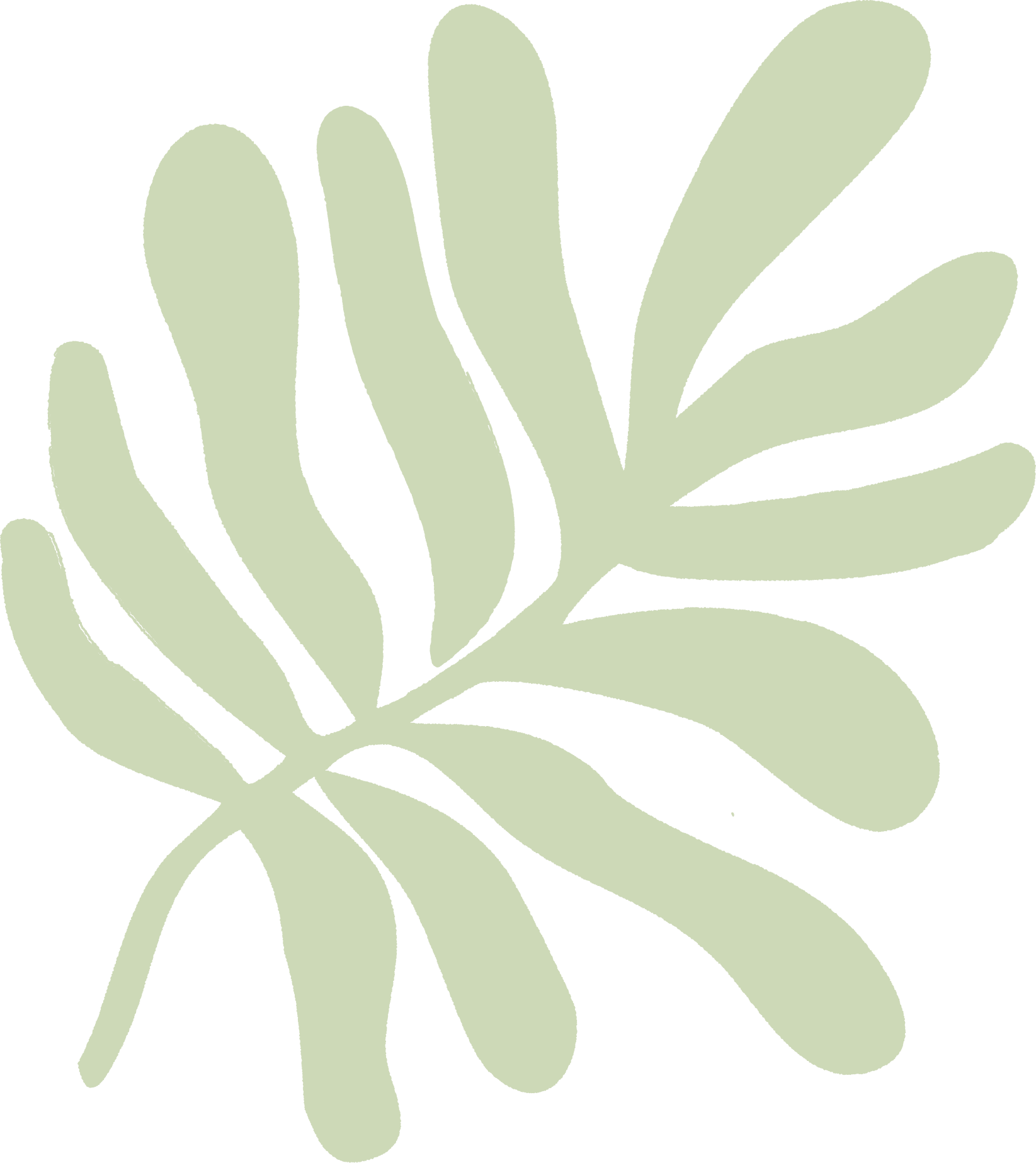 Stylized pale green fern leaf illustration with rounded lobes on a black background.